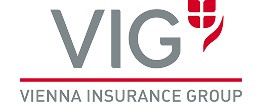 VIG logo 01
